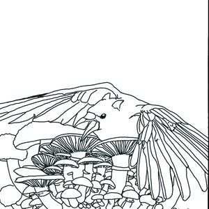 Meet your Posher, Abigail